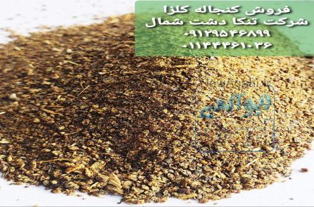 فروش کنجاله کلزا خوراک دام و طیور و آبزیان