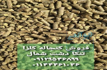 فروش کنجاله کلزا خوراک دام و طیور و آبزیان