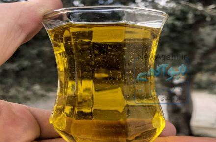 فروش روغن زیتون فله خالص و ارگانیک طارم