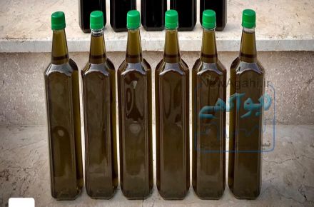 فروش روغن زیتون فله خالص و ارگانیک طارم