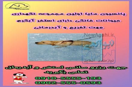 ** پانسیون و مرکز نگهداری حیوانات خانگی مایا** 