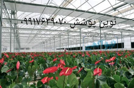 پلاستیک های گلخانه ای