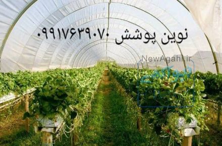 پلاستیک های گلخانه ای