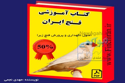 کتاب آموزشی فنچ