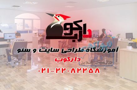 آموزشگاه طراحی سایت حضوری و غیر حضوری دارکوب