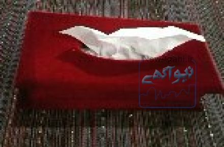 پودر مخمل/دستگاه مخمل پاش/آموزش مخمل پاشی فلوکان استار09190924535