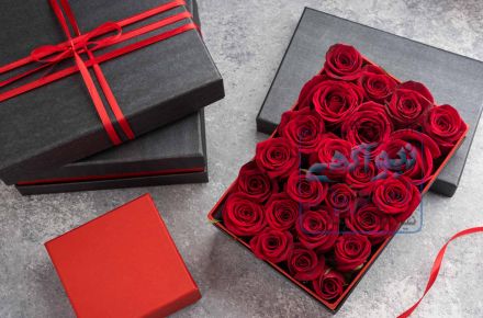 تولید و فروش هاردباکس و جعبه آماده 