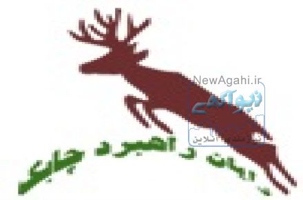 خدمات رایان راهبرد (برون_سپاری، منابع_انسانی، آموزش، درونی_سازی)