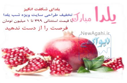 تخفیف طراحی سایت ویژه شب یلدا
