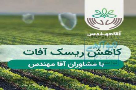 آقا مهندس | مرکز مشاوره تخصصی صیفی جات