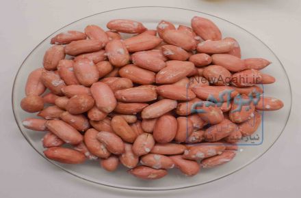 فروشگاه آنلاین سوغات گیلان گیله فرهنگ