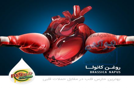 تولید کننده روغن های خوراکی