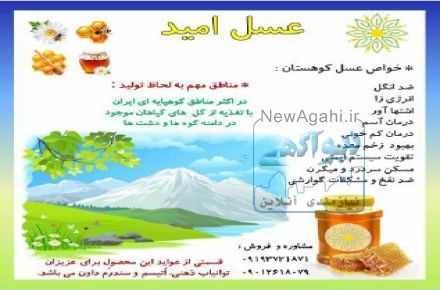 عسل طبیعی ارگانیک امید