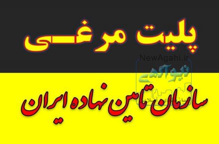 کود مرغی / کود حیوانی / پلت مرغ / کود ارگانیک و شیمیایی همدان