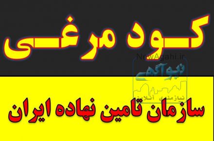 کود مرغی / کود حیوانی / پلت مرغ / کود ارگانیک و شیمیایی همدان