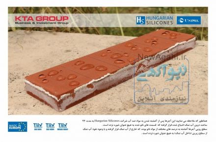 نانو نما هونگارین سیلیکون