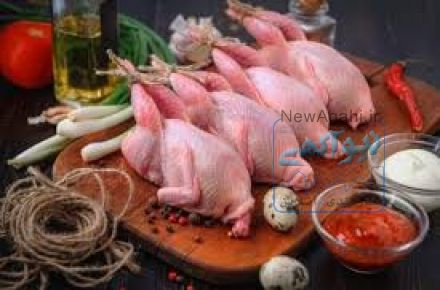 دسگاه پرکن مرغ و تمامی پرندگان 