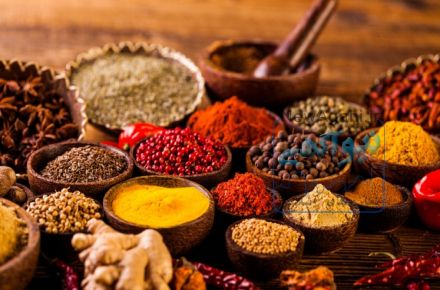 دستگاه اسیاب صنعتی  کیافارم 