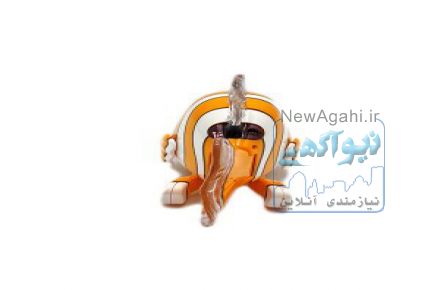 دلقک ماهی هولی تویز مدل 998