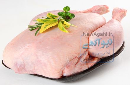 پرکن کیافارم 