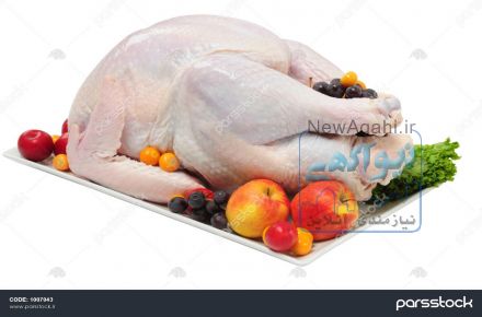 آسیاب ادویه جات کیافارم 