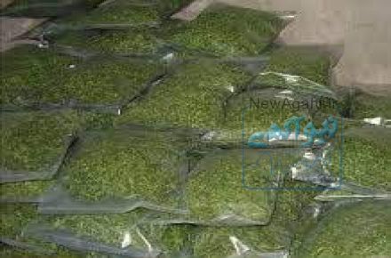 موسسه سفارشات سبزی چهارفصل 