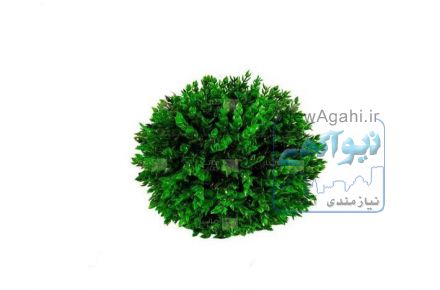 گل توپی با برگ پلاستیکی
