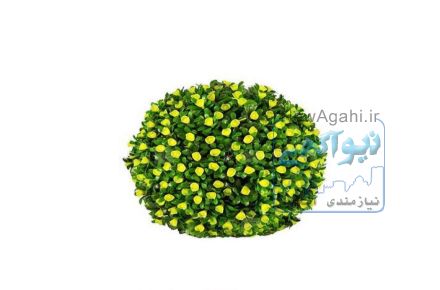 گل توپی با برگ پلاستیکی