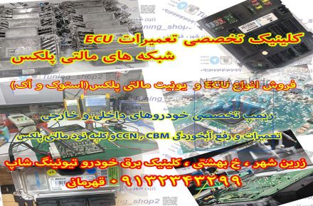 برنامه نویسی و ریمپ تخصصی پژ< 206 فرانسه