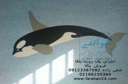 اجرای یک روزه بلکا بدون بو و کثیف کاری