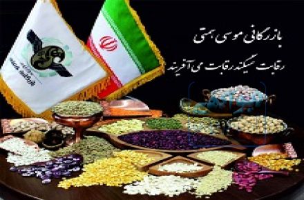 زرین تجارت البرز 