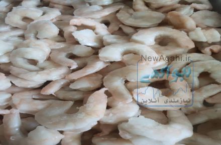 فروش ماهی و میگو جنوب