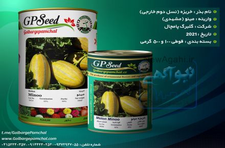 بذر خربزه نسل دوم خارجی