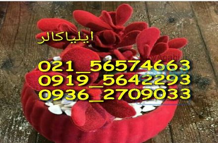 فلوک پاش /مخمل پاش/ اکلیل پاش09362709033