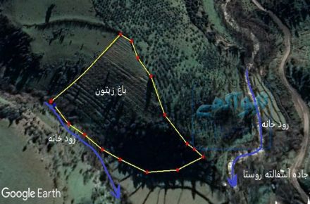 *باغ زیتون ومیوه در کنار رود شمال گیلان *