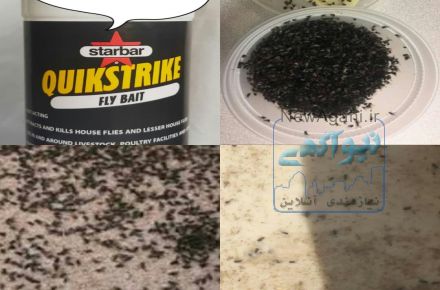 سم مگس آمریکائی کوئیک استریک قوی و مقرون به صرفه