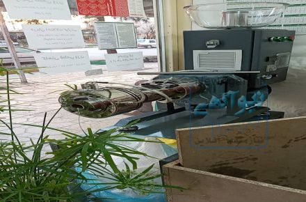 فروش اقساطی دستگاه روغن گیری ،کره ساز و ارده ساز 