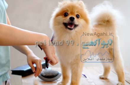 آرایشگاه حیوانات خانگی 