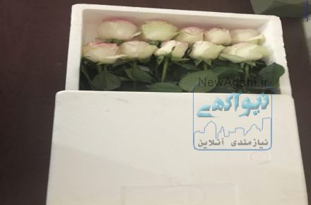 تولید کننده بستر کشت هیدروپونیک
