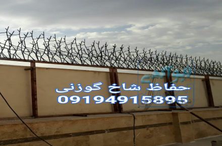 تولید و قیمت حفاظ شاخ گوزنی
