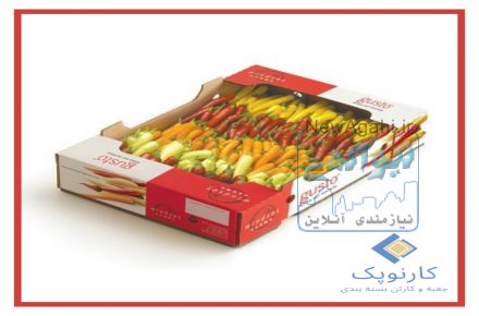 طراحی و تولید انواع کارتن مخصوص صادراتی - کارنوپک