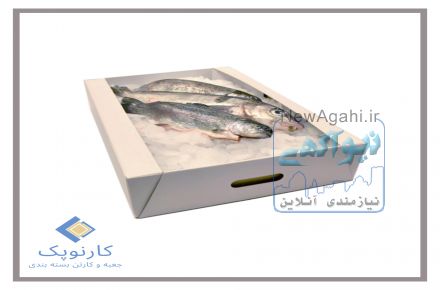 انواع کارتن مخصوص گوشت و مرغ و ماهی - کارتن سازی کارنوپک