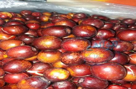 عناب تازه بیرجند