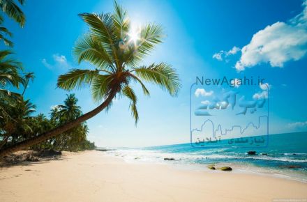 تور افری کیش