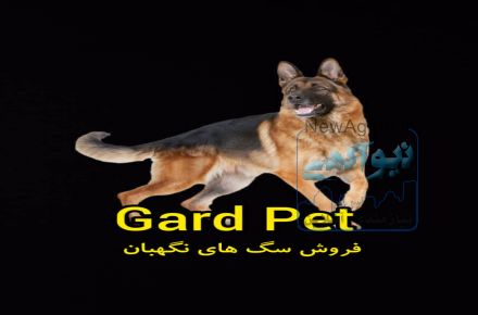 خرید و فروش سگ نگهبان