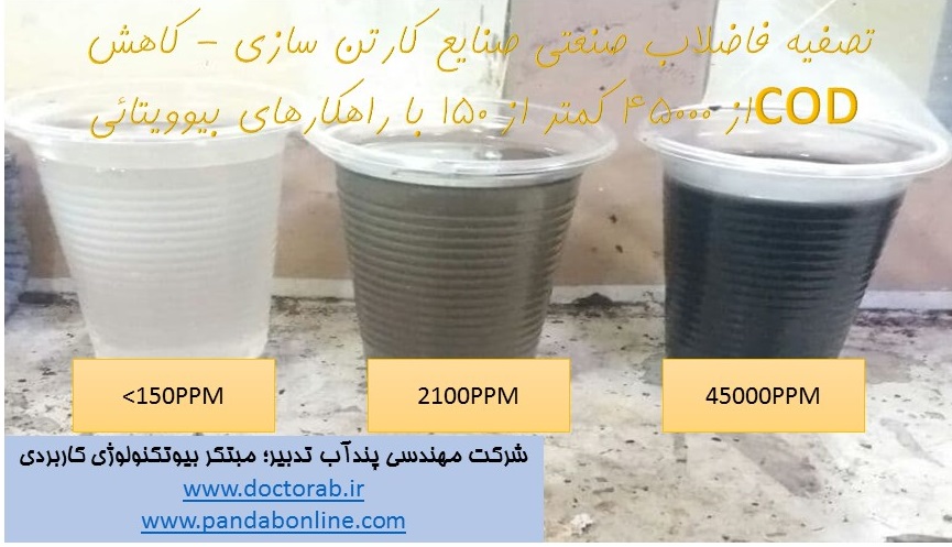 کاهش 90 درصدی COD در خروجی تصفیه خانه فاضلاب با بیوویتا