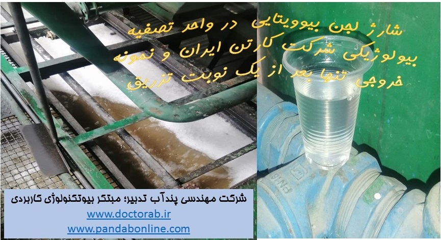 کاهش 90 درصدی COD در خروجی تصفیه خانه فاضلاب با بیوویتا