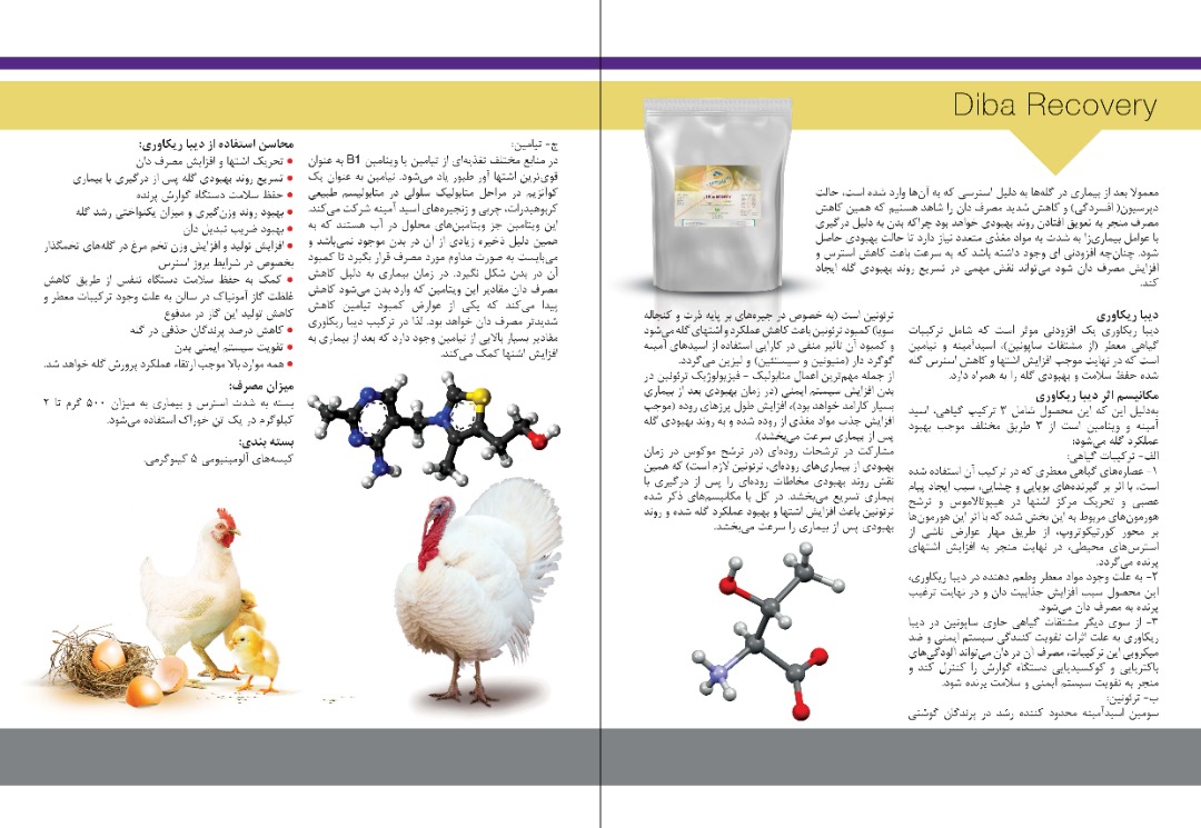 دیباریکاوری(محرک شدید اشتها و کاهنده استرس)مکمل غذایی