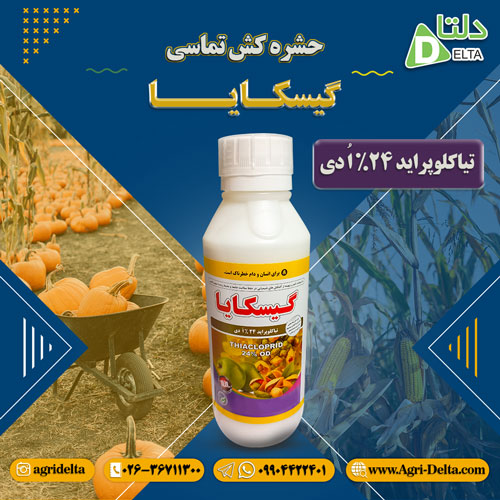 فروش سم جشره کش گیسکایا
