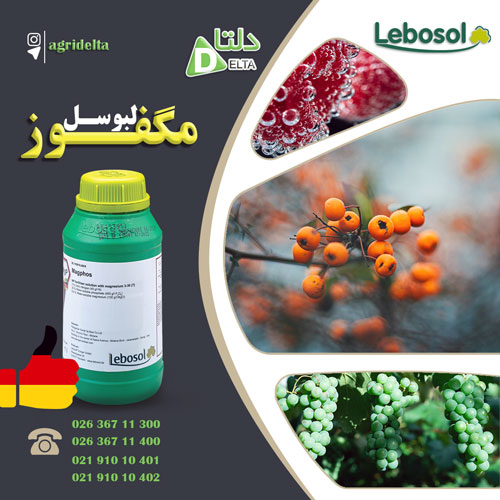 فروش کود لبوسل مگفوز